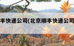 北京顺丰快递公司(北京顺丰快递公司电话查询)