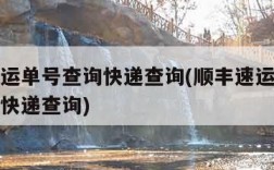 顺丰速运单号查询快递查询(顺丰速运快递单号查询快递查询)