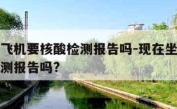 现在坐飞机要核酸检测报告吗-现在坐飞机要核酸检测报告吗?