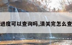 清关进度可以查询吗,清关完怎么查快递