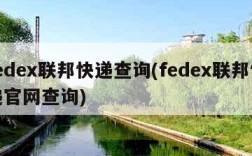 fedex联邦快递查询(fedex联邦快递官网查询)