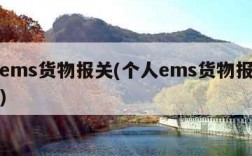 个人ems货物报关(个人ems货物报关怎么报)