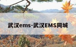 武汉ems-武汉EMS同城