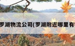 深圳罗湖物流公司(罗湖附近哪里有物流)