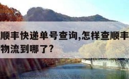 怎样查顺丰快递单号查询,怎样查顺丰快递单号查询物流到哪了?