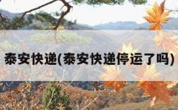 泰安快递(泰安快递停运了吗)