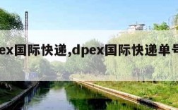 dpex国际快递,dpex国际快递单号查询